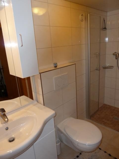 Ferienhaus Schwendehof - Ferienwohnung 1 - 4